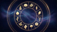 Vaše ideální pokojová rostlina podle znamení zvěrokruhu