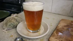 Domácí Goose Island IPA Clone: anglická IPA s citrusovým chmelem krok za krokem