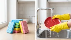 Co znamenají barvy houbiček na nádobí? Je to důležité, ale ví to jen málokdo