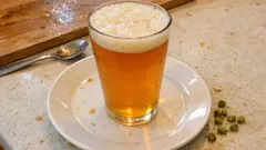 Domácí „Zombie Dust“ clone IPA: Citra chmelení a dry hop – all‑grain recept