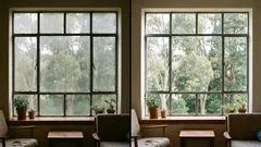 Jak umýt okna jako profesionál: průvodce krok za krokem