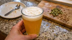 Domácí klon Brewdog Punk IPA: výrazně chmelená American IPA krok za krokem