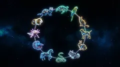 Nejlepší domácí mazlíček pro každé znamení zvěrokruhu podle astrologů