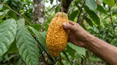 Objev vědců: tento produkt je spojen se zpomalením stárnutí