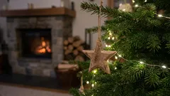 Zabraňte předčasnému umírání vánočního stromku pomocí těchto jednoduchých odborných rad