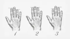 Test osobnosti: délka vašich prstů odhalí tyto povahové rysy